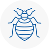 Bed Bug Extermination In Wallasey